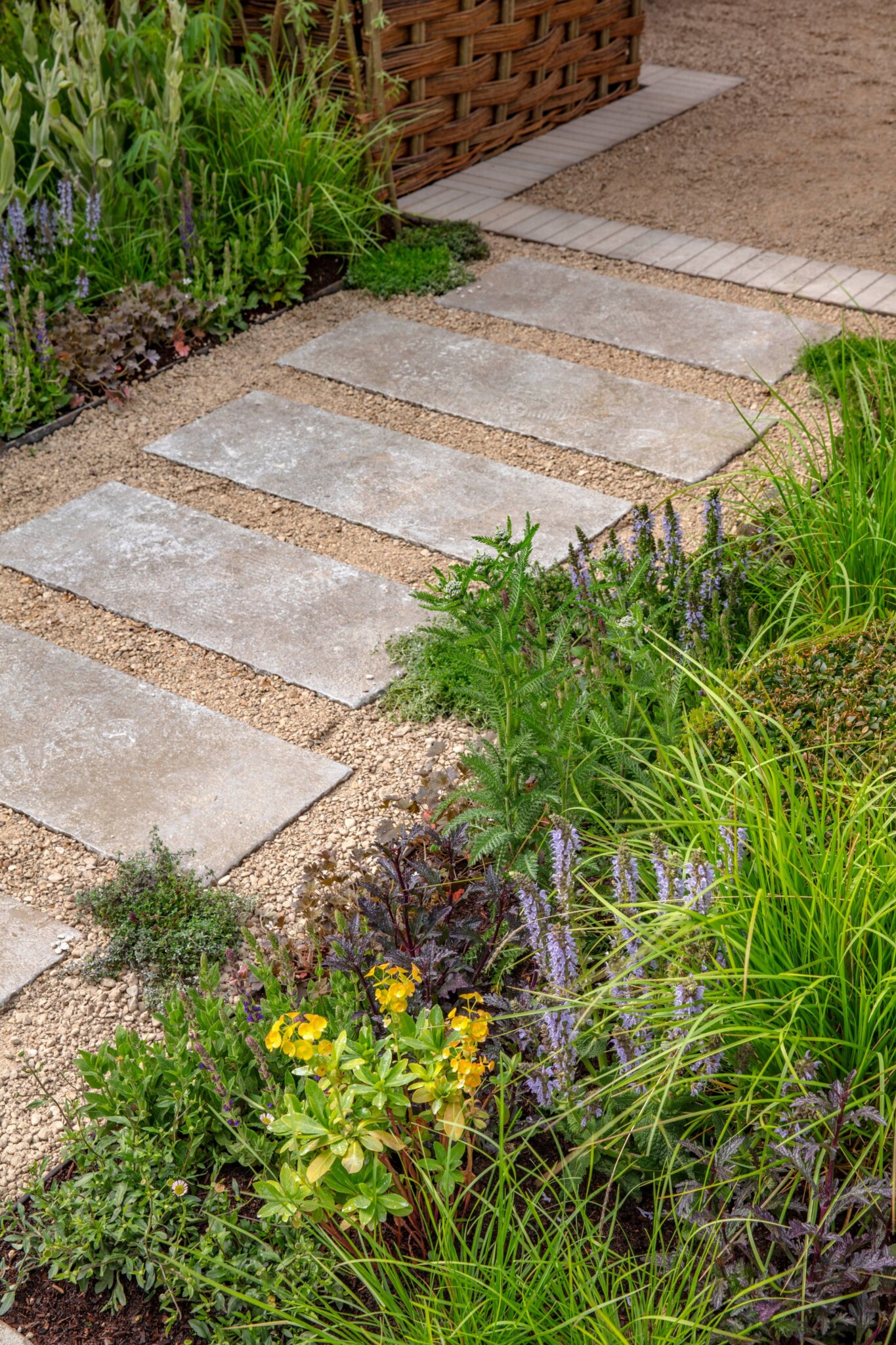 A garden pathway of paving slabs laid into warm toned gravel completments a soft, relaxed planted borders.