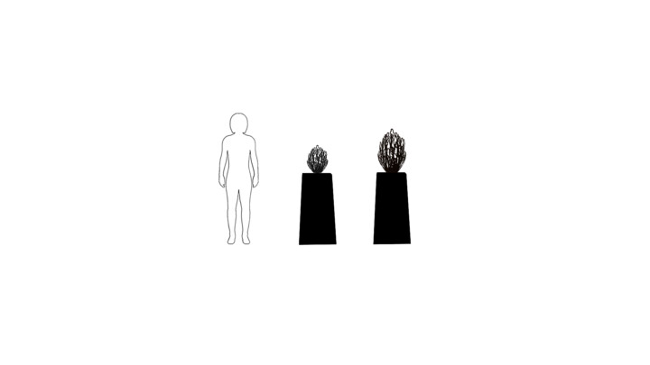 A simple line drawing shows a human figure beside two black rectangular plinths, each displaying a textured, dark organic object on top. The left plinth and object are smaller; the right plinth and object are larger. All are on a white background.