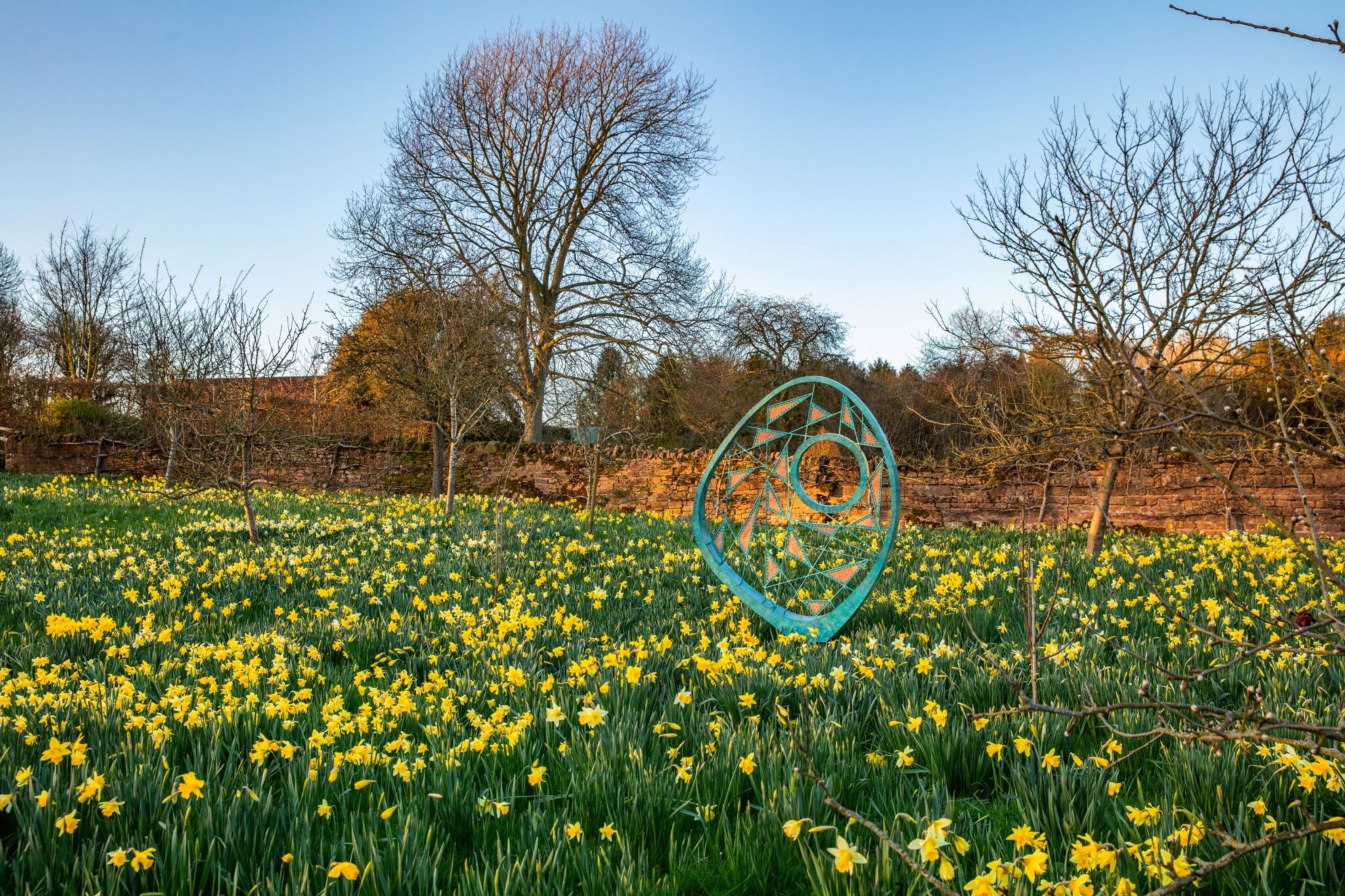 A bold bronze, organic sculpture creates a strong focal point in a walled garden orchard underplanted with yellow daffodils.