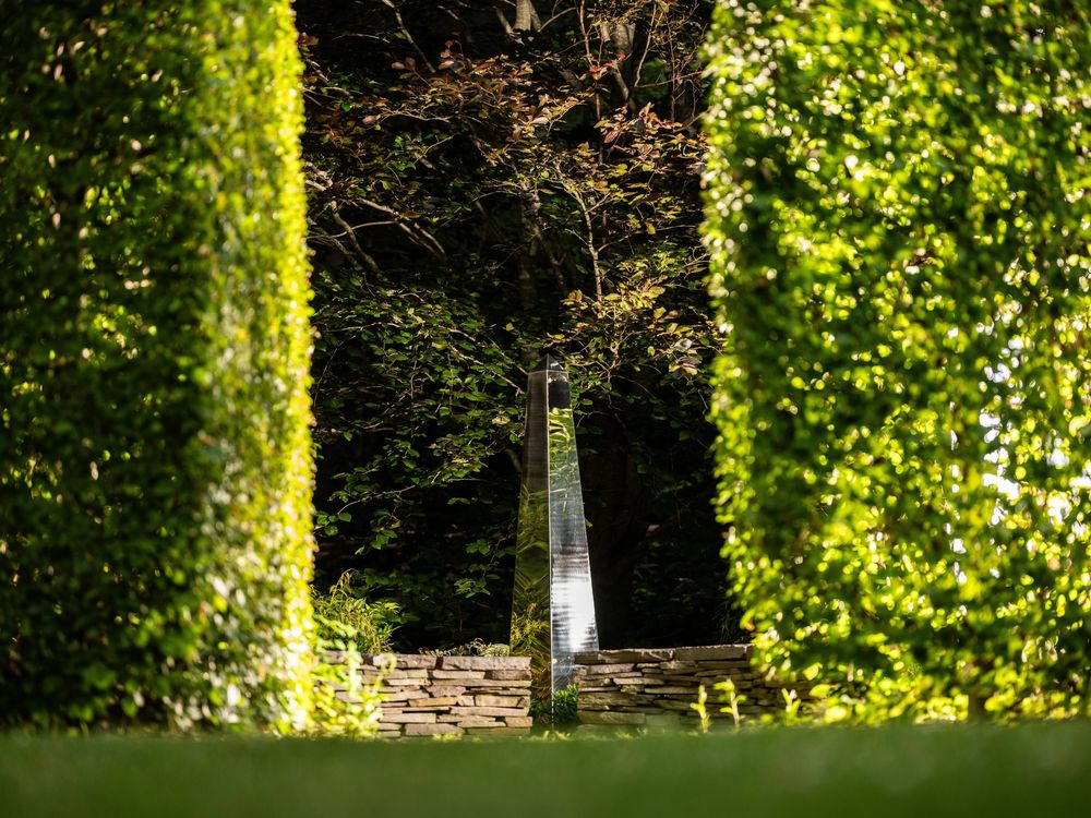sunlit garden opening framed by tall, dense green hedges with a narrow view of a pathway and foliage beyond