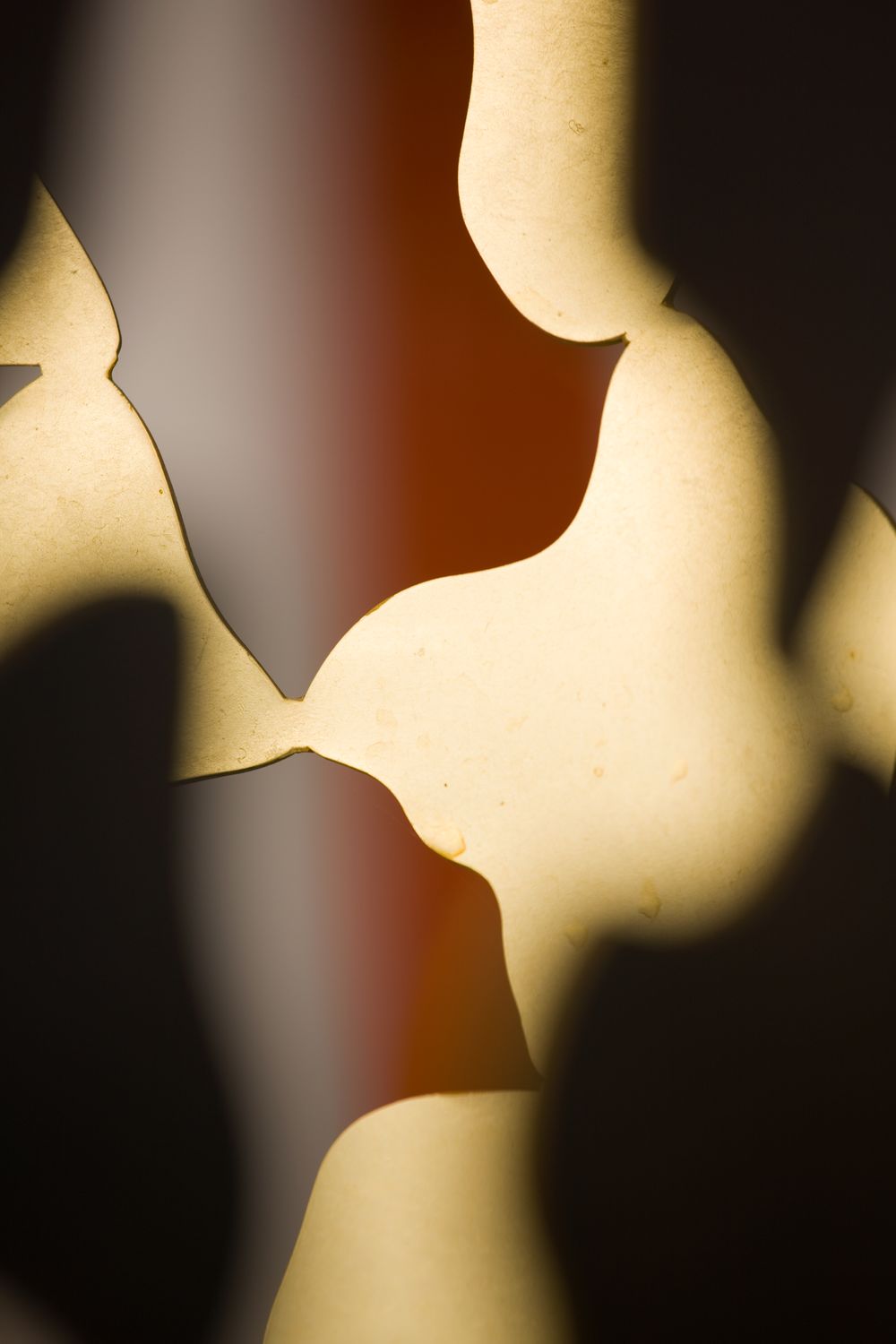 Abstract close-up of curved, yellowish shapes evokes a gilding process with soft shadows and a warm orange background.