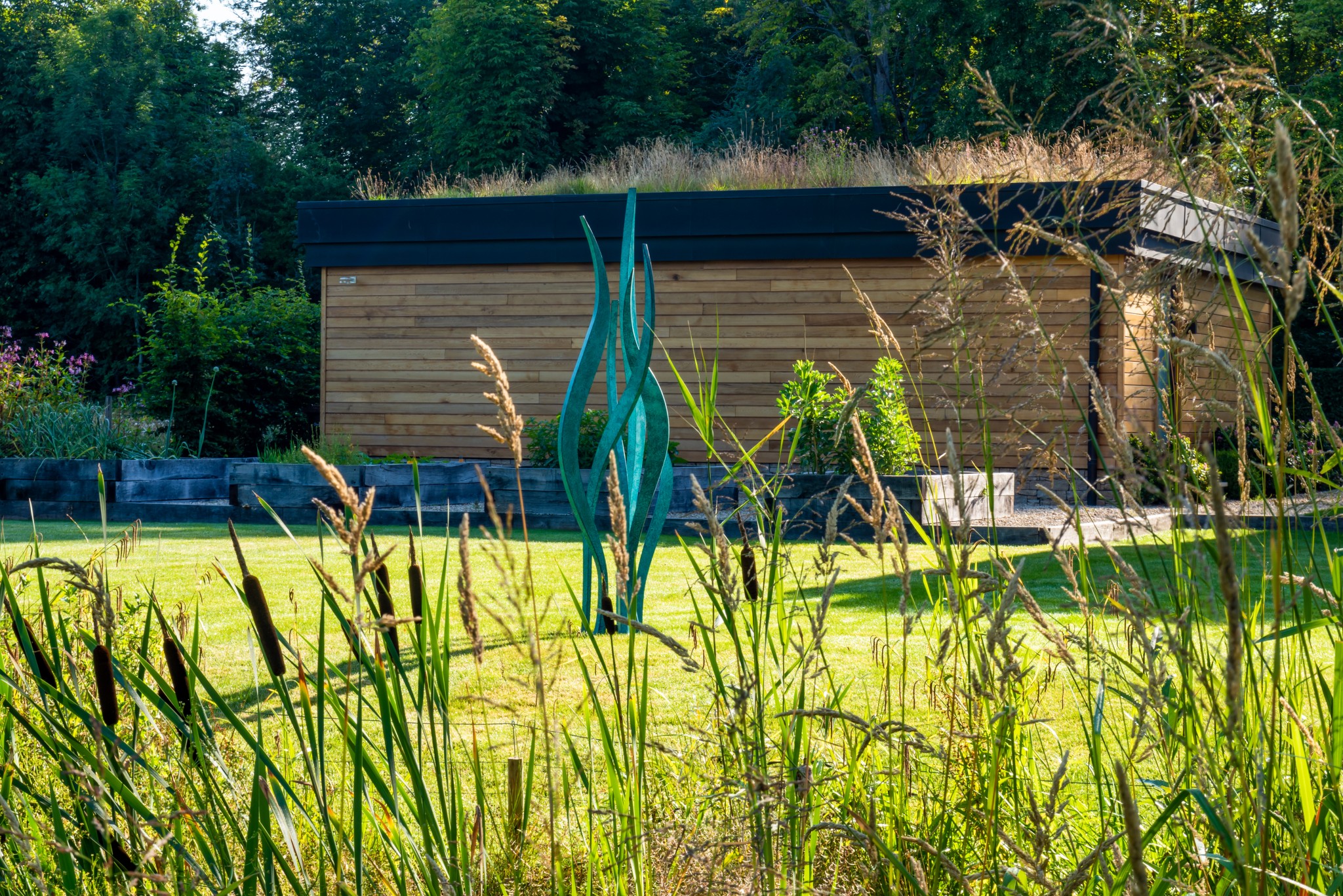 hydra in contemporary garden