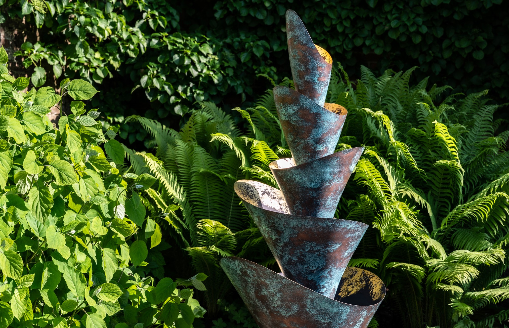 florio amidst luscious plants