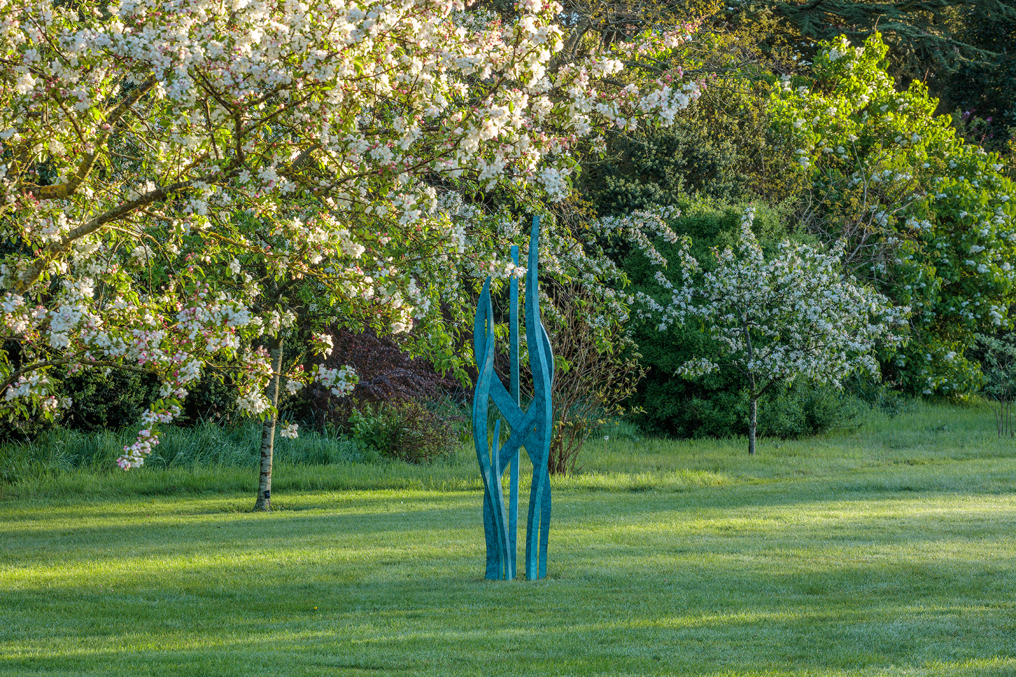 hydra in blossoming garden