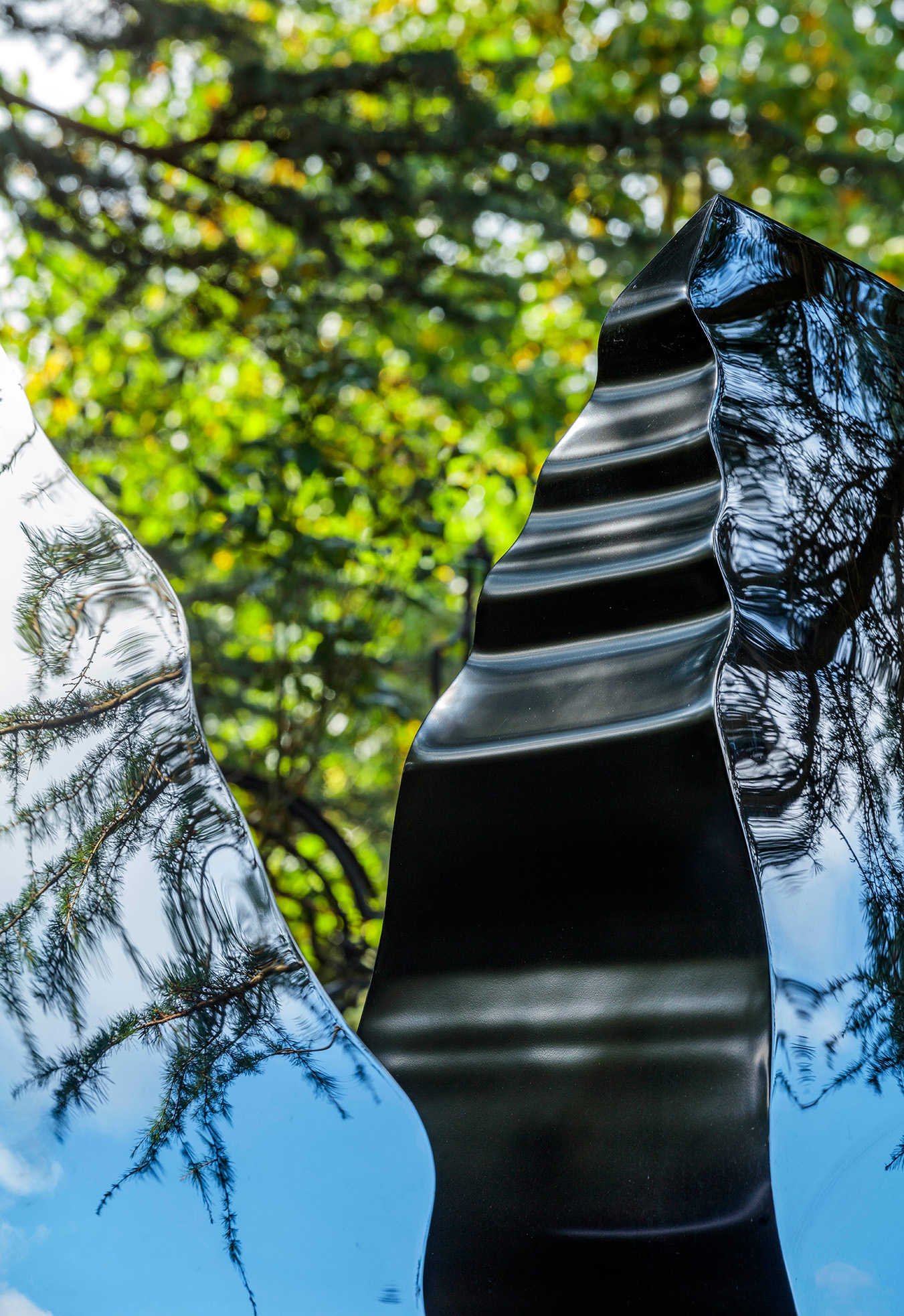 cloven torus close-up