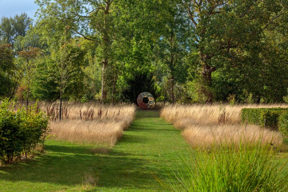 architectural garden design showcasing wide grassy path lined with tall dry grass leads to a metal sculpture