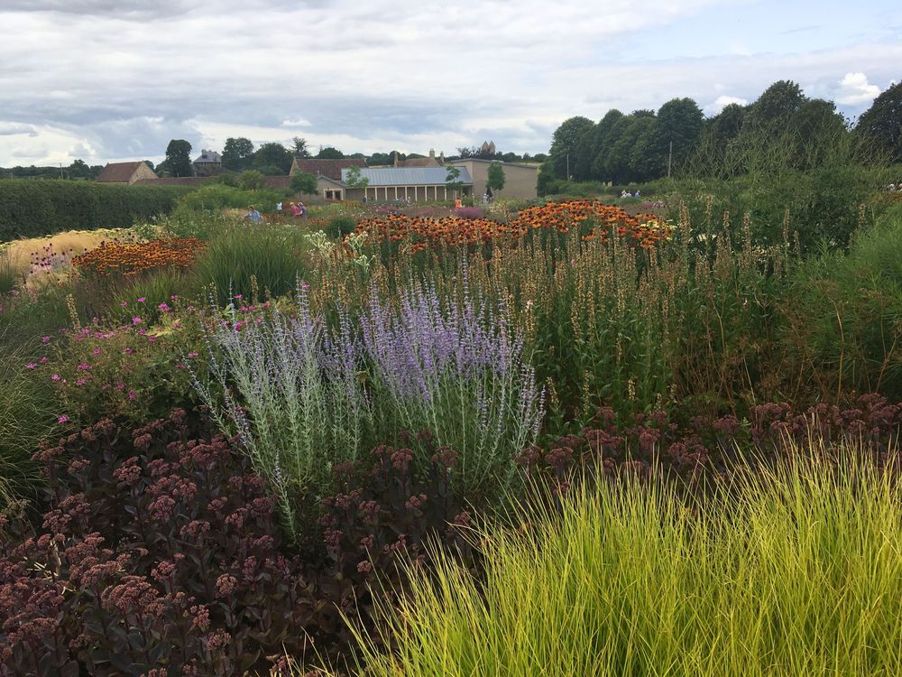 Colorful perennial garden in an Oudolf-inspired naturalistic landscape, tall grasses and flowers beneath a cloudy sky.