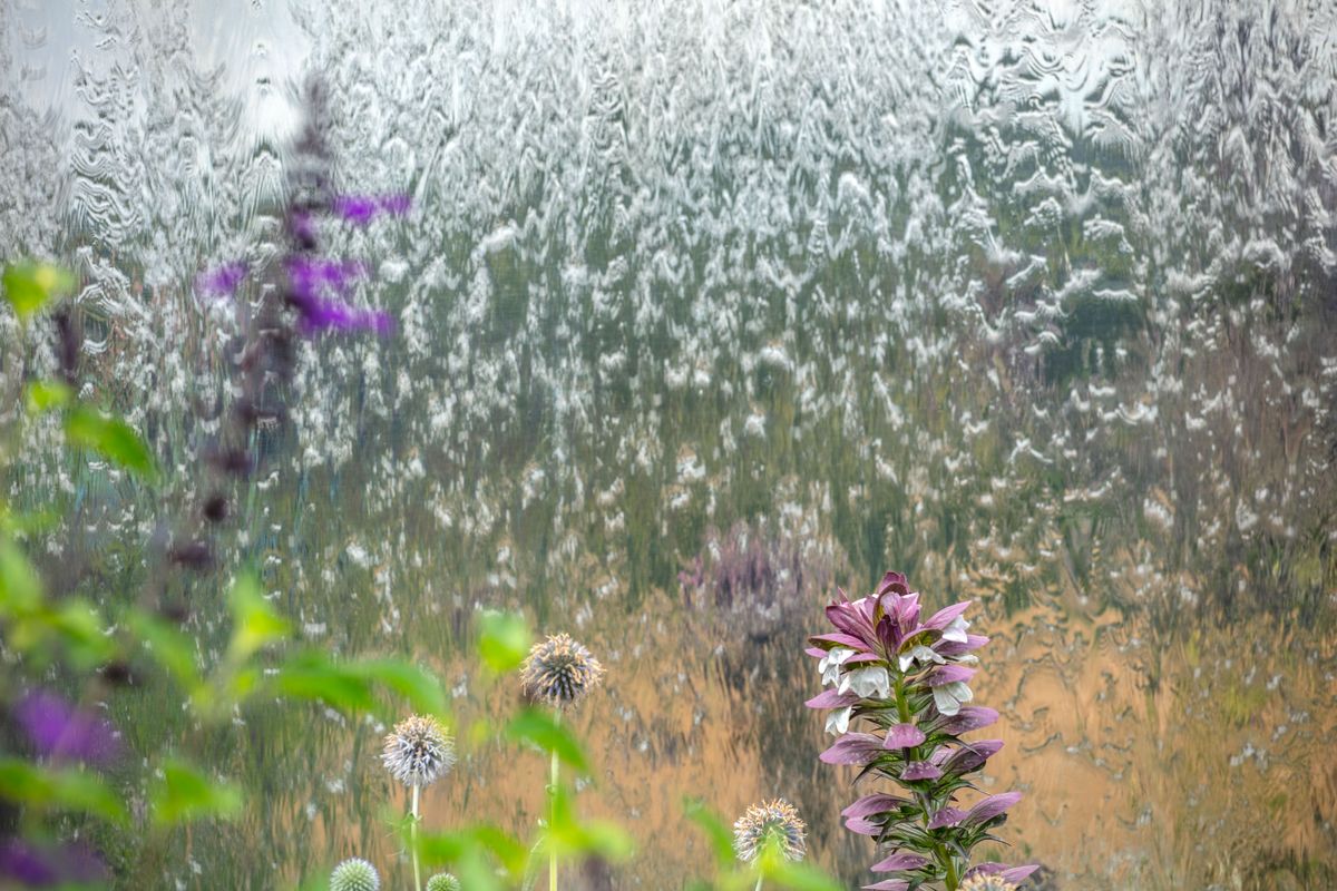 Rain-streaked glass with blurred flowers, plants, and a large stainless steel water feature behind the wet surface.